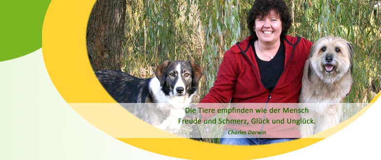 Herzlich willkommen bei der Hundephysiotherapie Mussenbrock in Dülmen