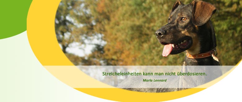 Herzlich willkommen bei der Hundephysiotherapie Mussenbrock in Dülmen