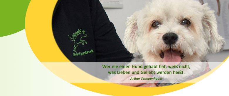 Herzlich willkommen bei der Hundephysiotherapie Mussenbrock in Dülmen