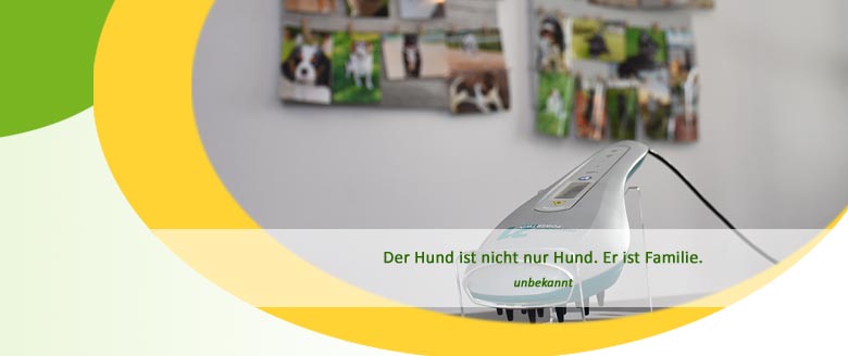 Herzlich willkommen bei der Hundephysiotherapie Mussenbrock in Dülmen